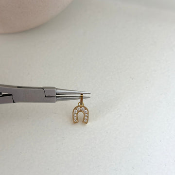 Horseshoe charm